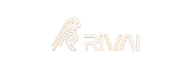  RISC-V 高端核心处理器解决方案提供商